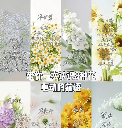 英雄花语有多少种？每种英雄花语代表了什么？