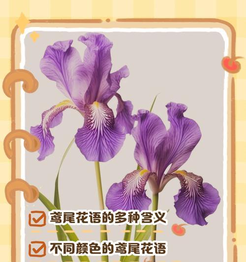 英雄花语有多少种？每种英雄花语代表了什么？