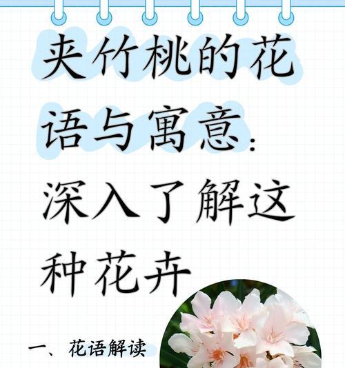 招手花传递了怎样的花语？