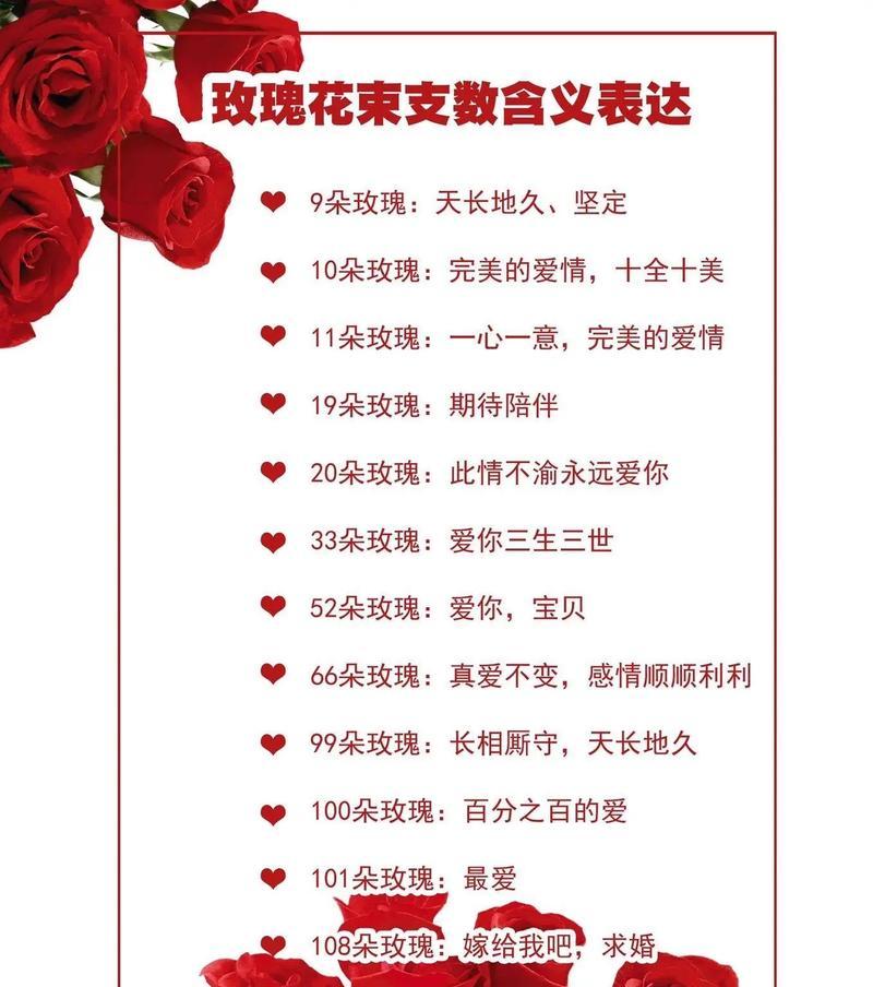 男生送一只玫瑰花有何含义？花语是什么？