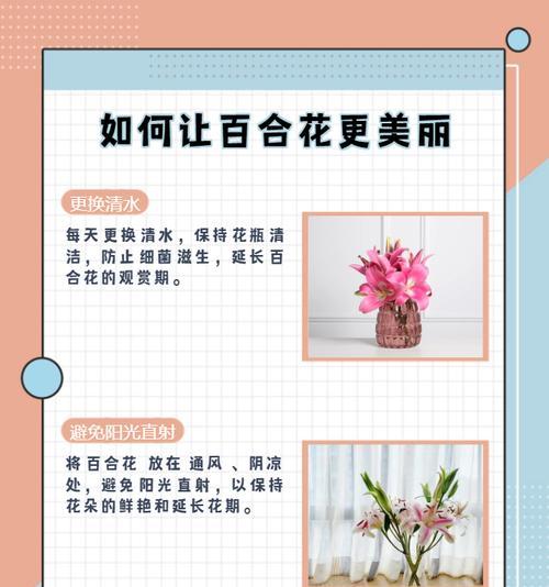 哪种花的花语是静静爱你？它象征着怎样的爱情？