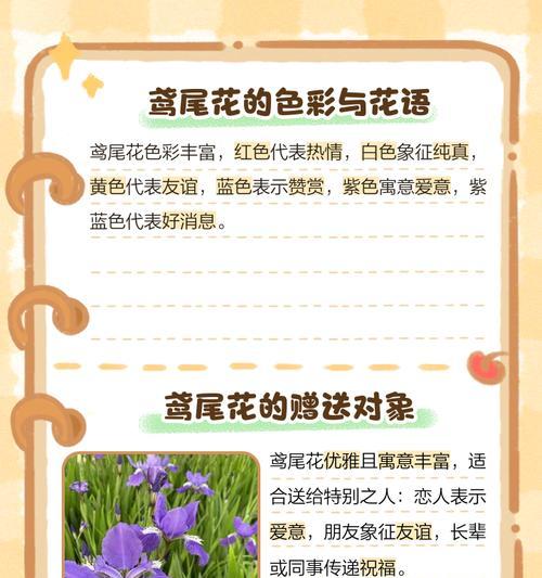 蓝黑鸢尾花束代表什么？花语寓意有哪些？