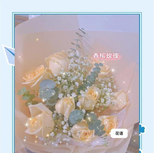 香槟玫瑰的花语贺词通常表达什么？