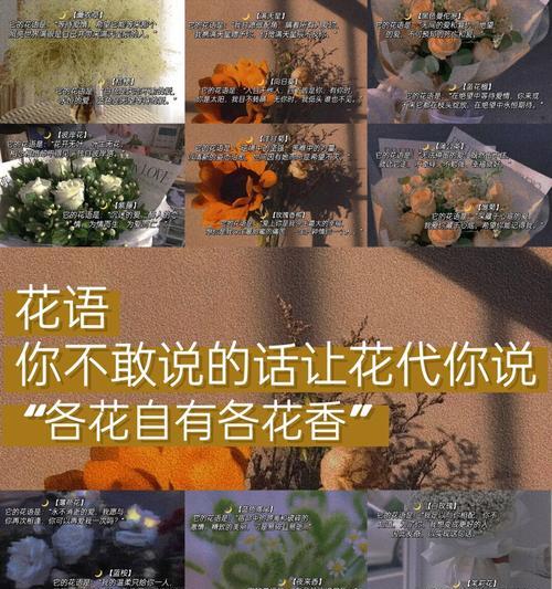 哪种花的花语代表永久友谊？它象征着怎样的情感？