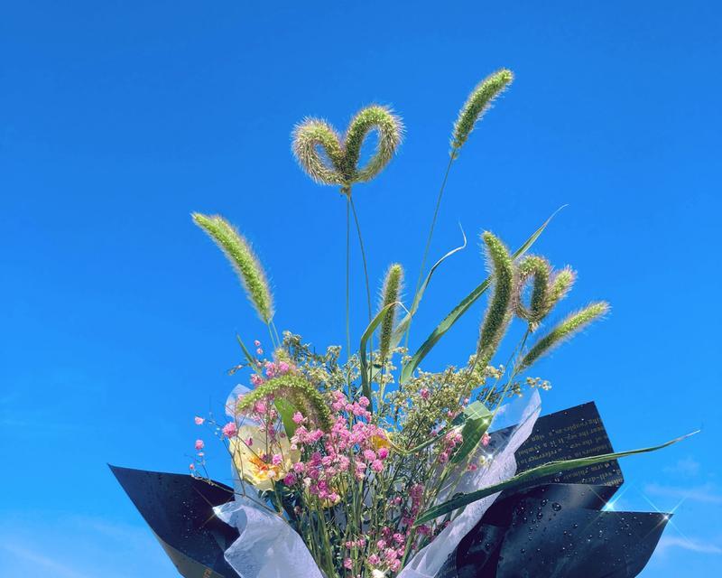 香槟草的花语有哪些深层含义？