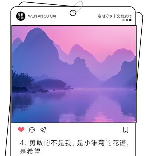 雏菊的花语追风者代表什么？花语中有哪些含义？