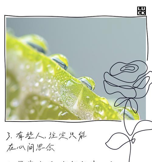 什么花是深情的花语呢？深情花语的花有哪些？