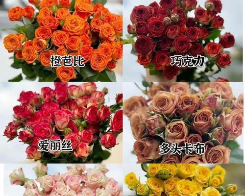 香水百合传递了哪些情感？