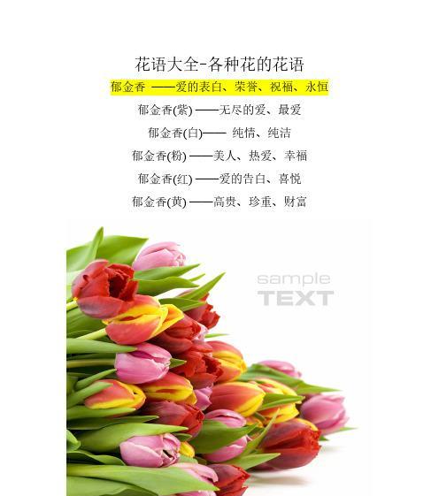 郁金香十五朵的花语是什么？十五朵郁金香代表什么含义？