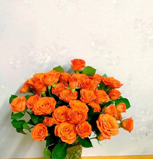白橙色玫瑰的花语含义是什么？如何表达？