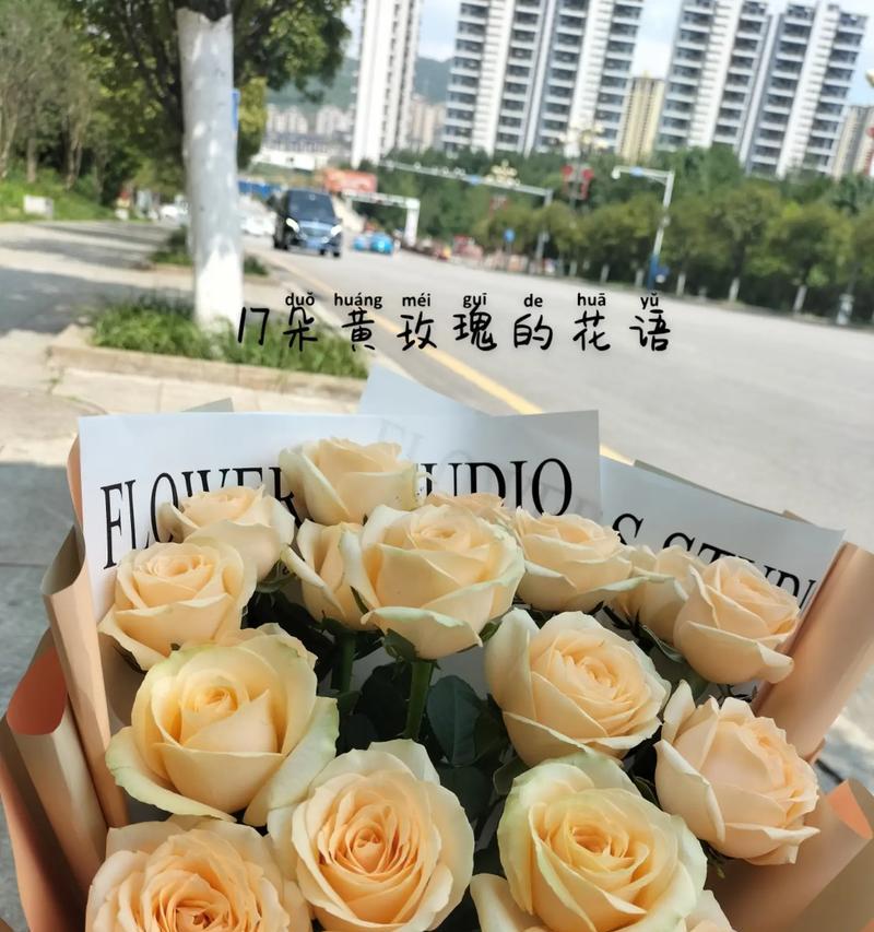 红骑士玫瑰的花语是什么？花语的含义是什么？