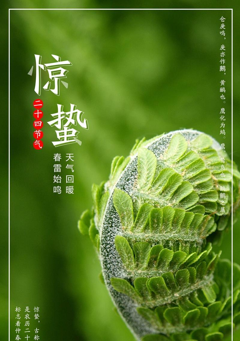 惊蛰节气的花语有哪些？
