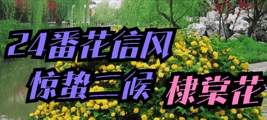 惊蛰节气的花语有哪些？