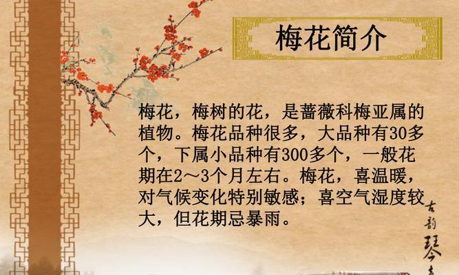 梅花花语谐音是什么？梅花的花语与谐音文化有何联系？
