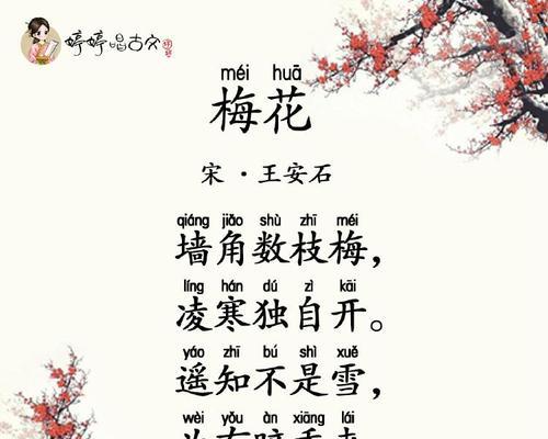 梅花花语谐音是什么？梅花的花语与谐音文化有何联系？
