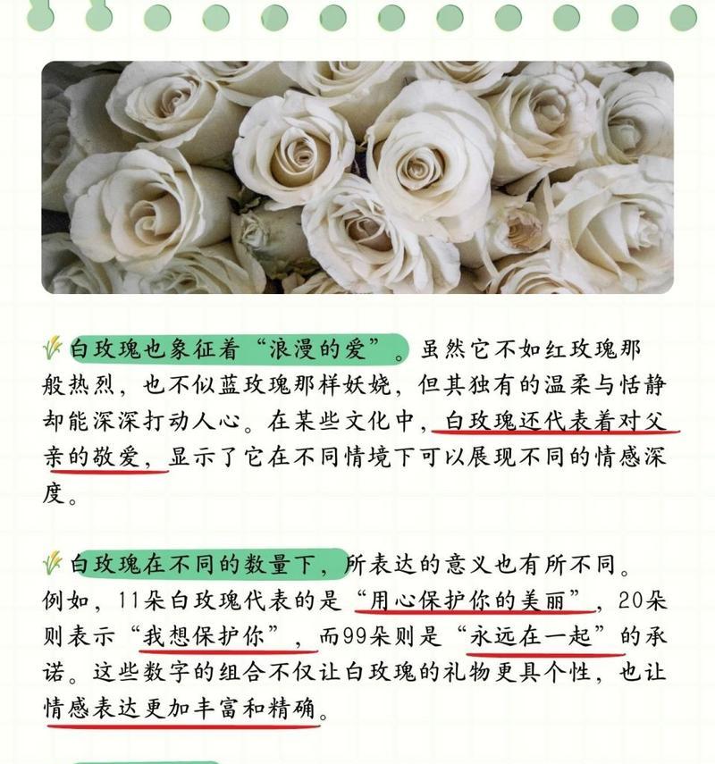 玫瑰花数字寓意有哪些？它们分别代表什么？