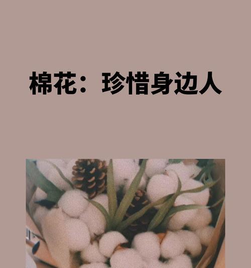 蓝棉花的花语有哪些含义？