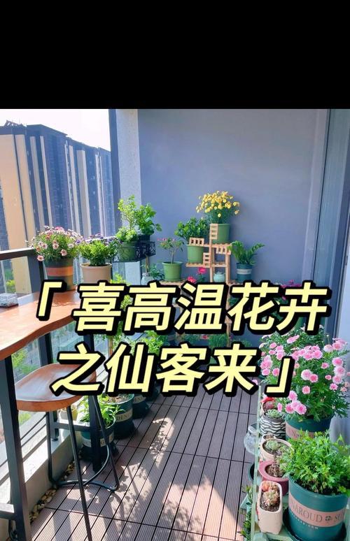 仙客来如何养护？让花朵常开不败的秘诀是什么？