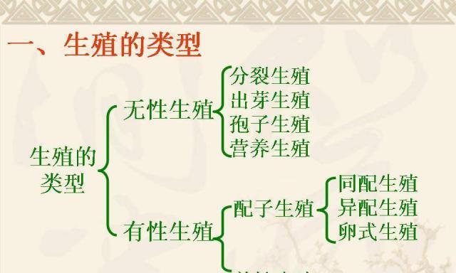 无性繁殖和有性繁殖哪个更快？生长速度和生产效率如何对比？