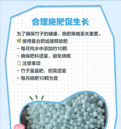 水培竹子如何避免黄叶？水培植物花卉绿植DOU+小助手有哪些技巧？