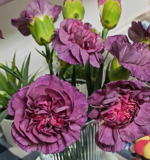 蔷薇一年开几次花？花期规律与养护方法是什么？
