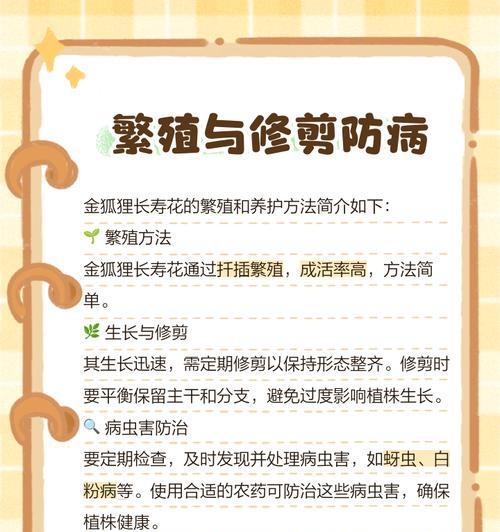 长寿花的养殖方法是什么？养殖长寿花需要注意什么？