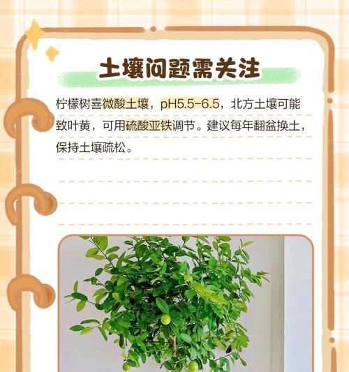 叶子变黄是怎么回事？如何预防和处理？