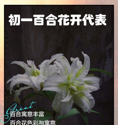 100花语大全寓意鲜花的花语和代表意义有哪些？