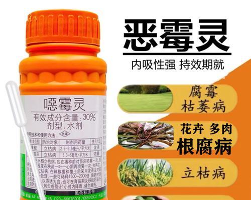 仙人球烂茎病的防治药物推荐？