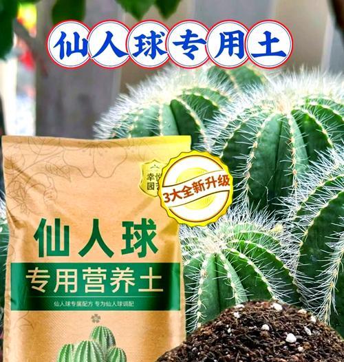 仙人球烂茎病的防治药物推荐？