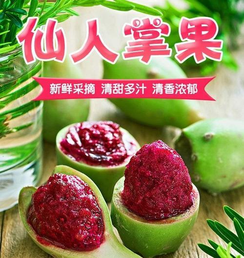 仙人掌果结果的条件和养护方法？