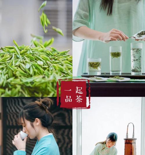 仙人球浇栀子乌龙茶的正确方法？