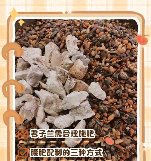 君子兰秋季施肥的最佳肥料选择是什么？