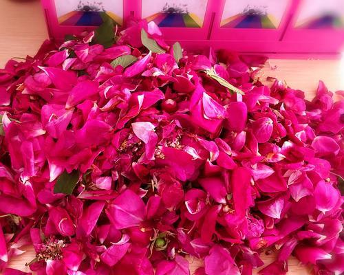 玫瑰花花蕊烂掉的原因有哪些？