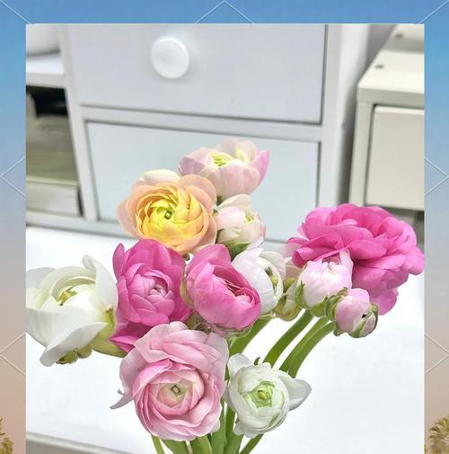 牡丹花侧芽的正确处理方法是什么？