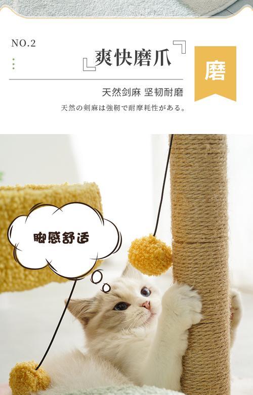 小喵咪仙人掌的养护技巧有哪些？