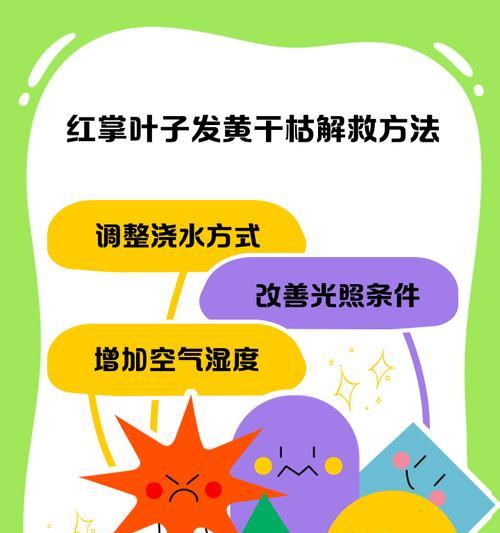 仙人球突然发黄的解决小妙招有哪些？