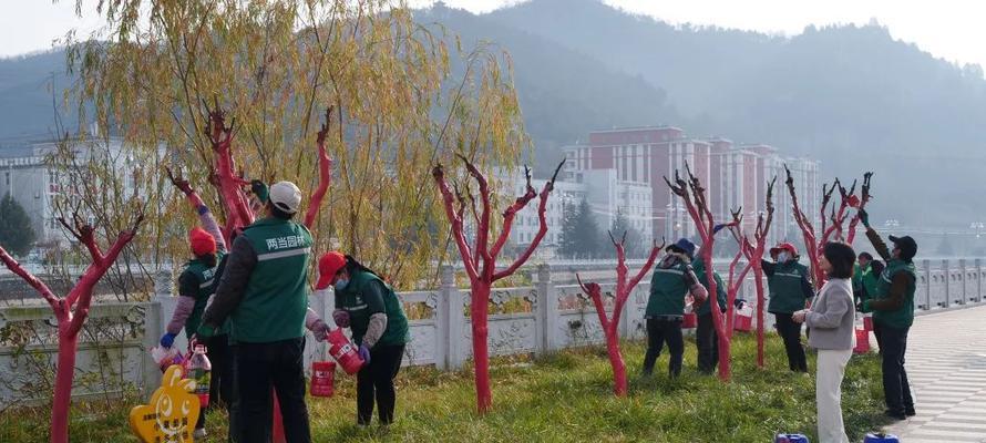 仙人掌高墙冬季的养护方法是什么？