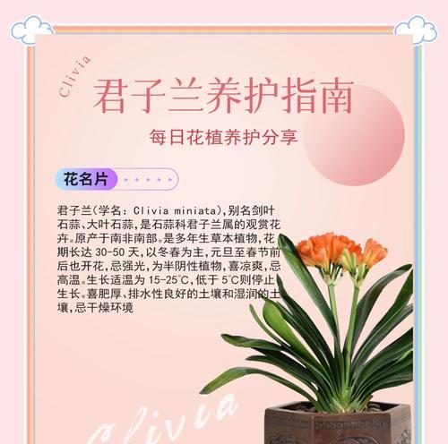 君子兰多久浇水一次比较好？