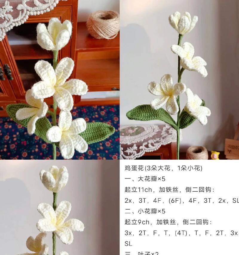 鸡蛋花的花语象征和寓意是什么？