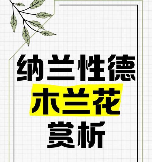 外国人如何看待木兰花的花语？