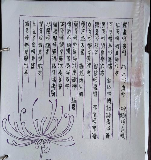 玫瑰花与彼岸花的花语分别是什么？