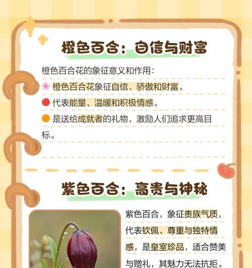 橘色百合花的花语代表什么含义？