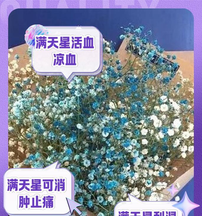 满天星花语的含义是什么？为什么人们会这样称呼它？