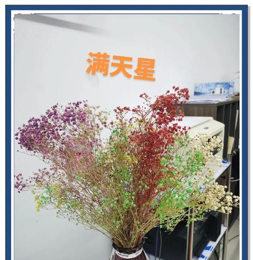 满天星花语的含义是什么？为什么人们会这样称呼它？