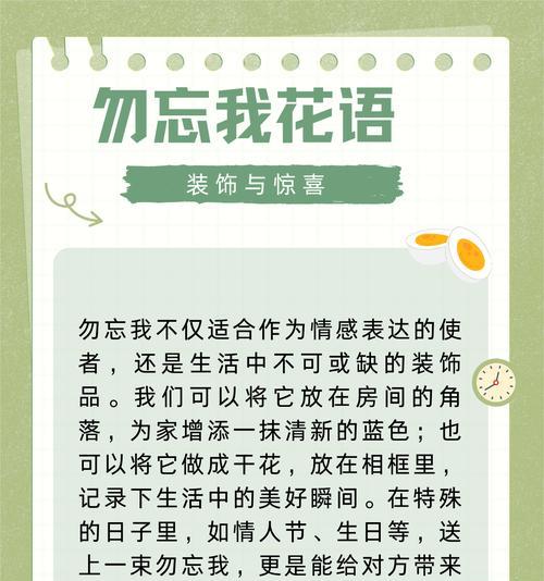 勿忘我的花语及其象征意义是什么？
