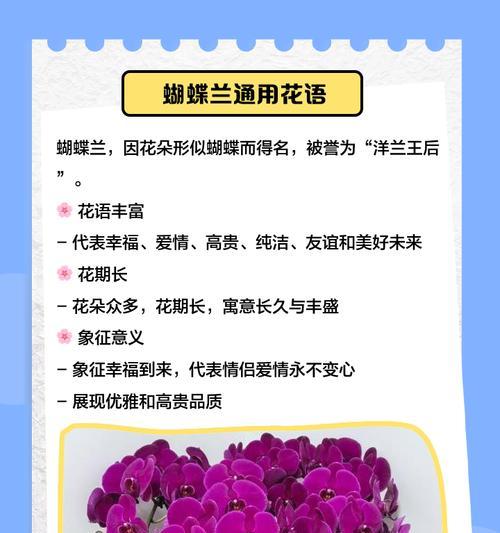 蝴蝶兰不同颜色的花语分别是什么？