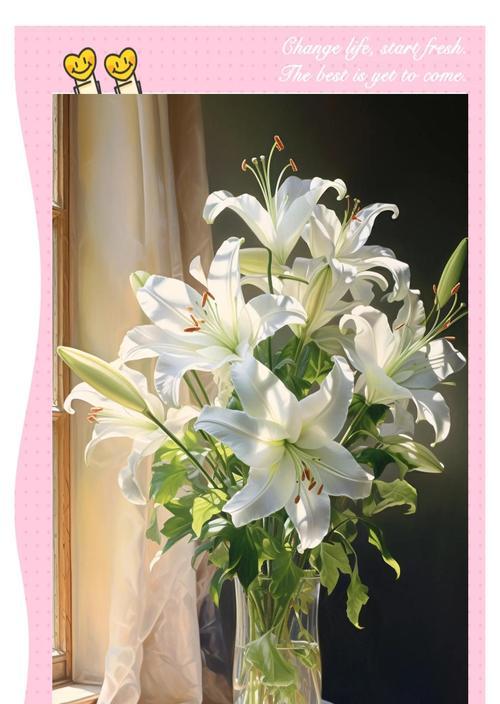 百合花的花语象征着什么？它寓意着什么？