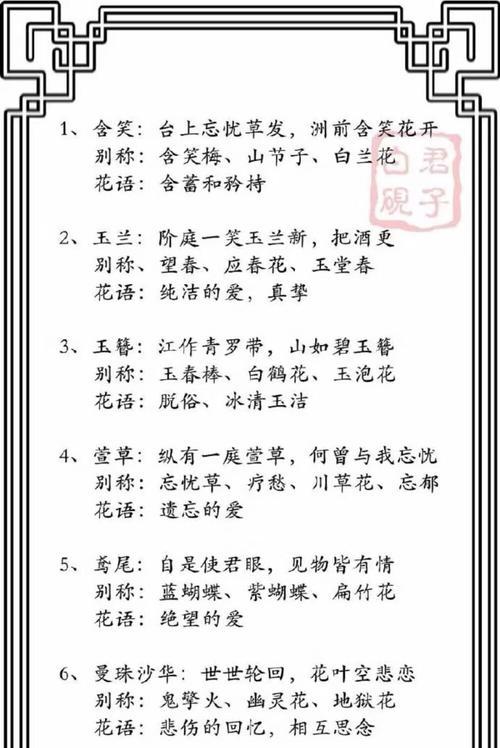 依米花花语和传说有哪些？它背后的故事是什么？