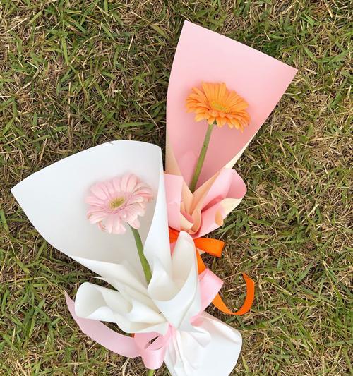 扶郎的花语和寓意是什么？它象征着什么？